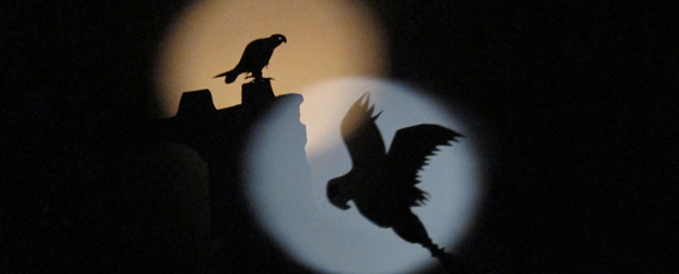 Bussard-und-Falke Bussard-und-Falke