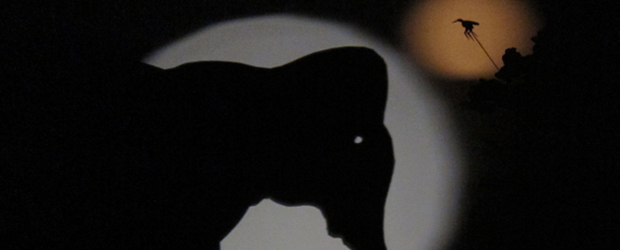 Muecke-und-Elefant Muecke-und-Elefant